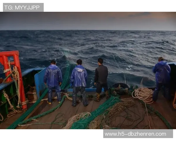 天天真人捕鱼游戏平台-天天真人捕鱼游戏平台，体验真实的海洋捕捞之旅-天天真人捕鱼游戏平台